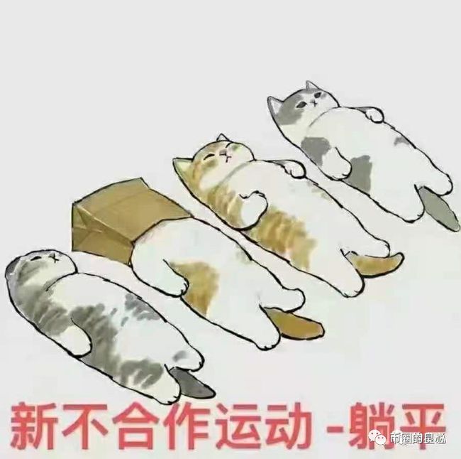 如果你走对了路，就平躺吧！ - 第4张  | 比特币-比特币价格-比特币行情交易交流平台