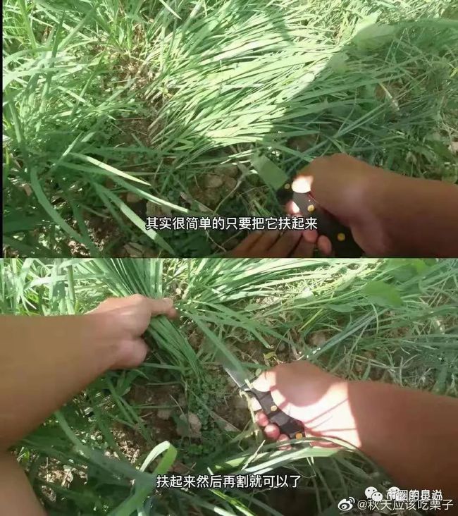 如果你走对了路，就平躺吧！ - 第8张  | 比特币-比特币价格-比特币行情交易交流平台