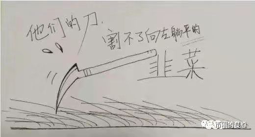 如果你在正确的路上，躺平就好了！ - 第3张  | 比特币-比特币价格-比特币行情交易交流平台