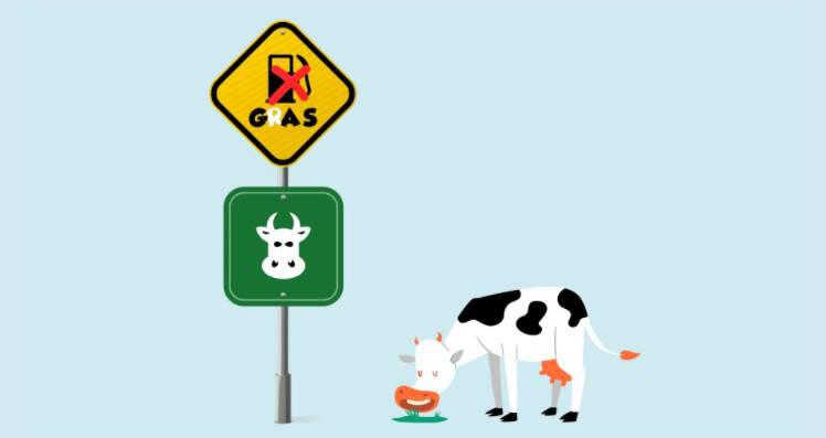 阅读cowswap in three minutes:how to realize transaction without MeV and low handling charge？ - 第2张  | 比特币-比特币价格-比特币行情交易交流平台