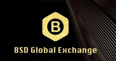 曝光丨“头寸管理”还没回本，BSD交易所又来“刷量”交易骗人 - 第1张  | 比特币-比特币价格-比特币行情交易交流平台