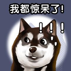 我能把买的钱处理掉吗？未来是否会出现牛市？ - 第6张  | 比特币-比特币价格-比特币行情交易交流平台