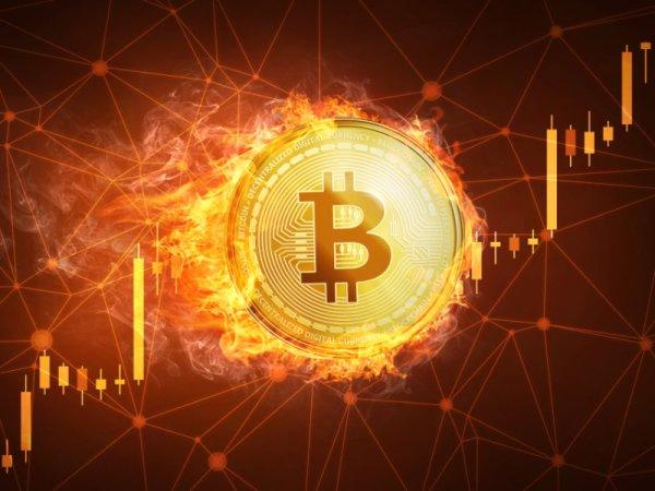 美国银行基金经理调查显示，27%看好比特币排名第一 - 第1张  | 比特币-比特币价格-比特币行情交易交流平台