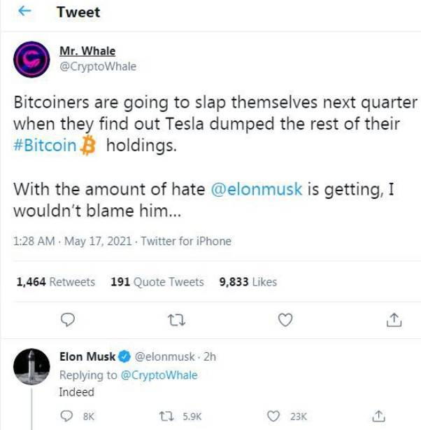 马斯克暗示，特斯拉可能会明确其在比特币领域的地位，加密市场遭受重挫 - 第1张  | 比特币-比特币价格-比特币行情交易交流平台