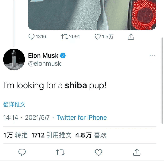 硬币圈的荒诞解读：比特币在过去10年里涨了1.5万倍，狗也飞向了天空 - 第9张  | 比特币-比特币价格-比特币行情交易交流平台