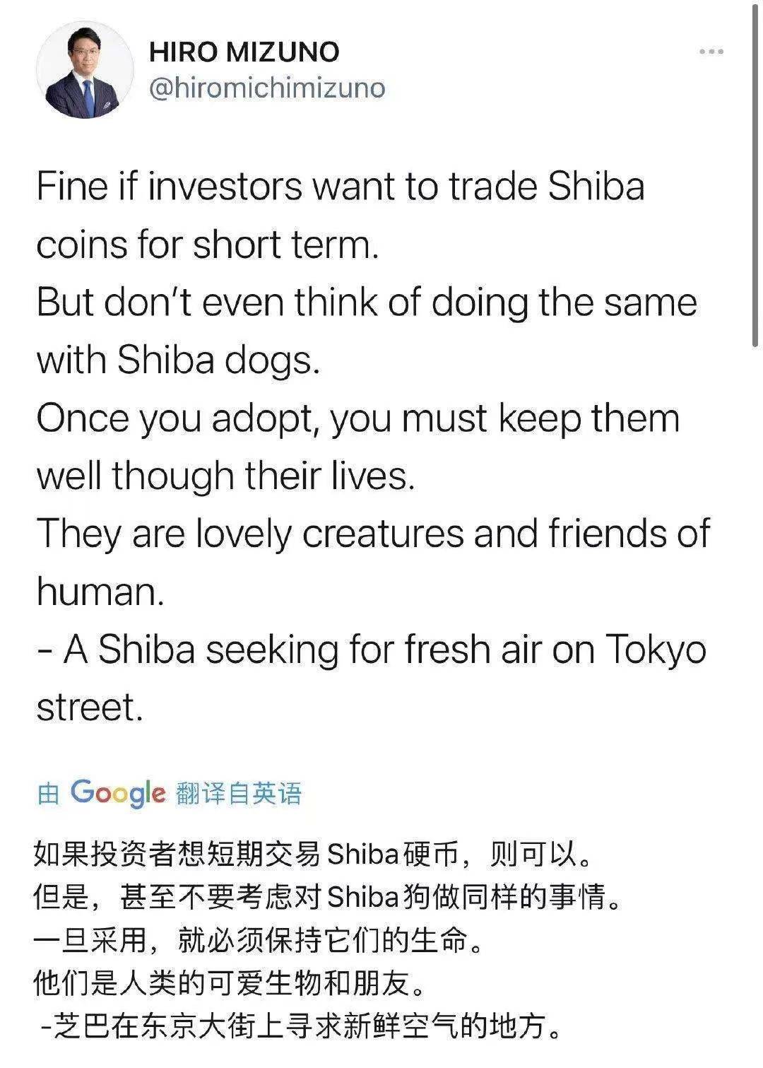 狗币之后，柴狗币又红了！一个月涨100倍，有人3000元赚了60万？ - 第1张  | 比特币-比特币价格-比特币行情交易交流平台