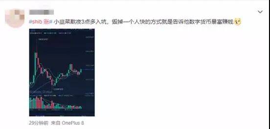 狗币之后，柴狗币又红了！一个月涨100倍，有人3000元赚了60万？ - 第5张  | 比特币-比特币价格-比特币行情交易交流平台