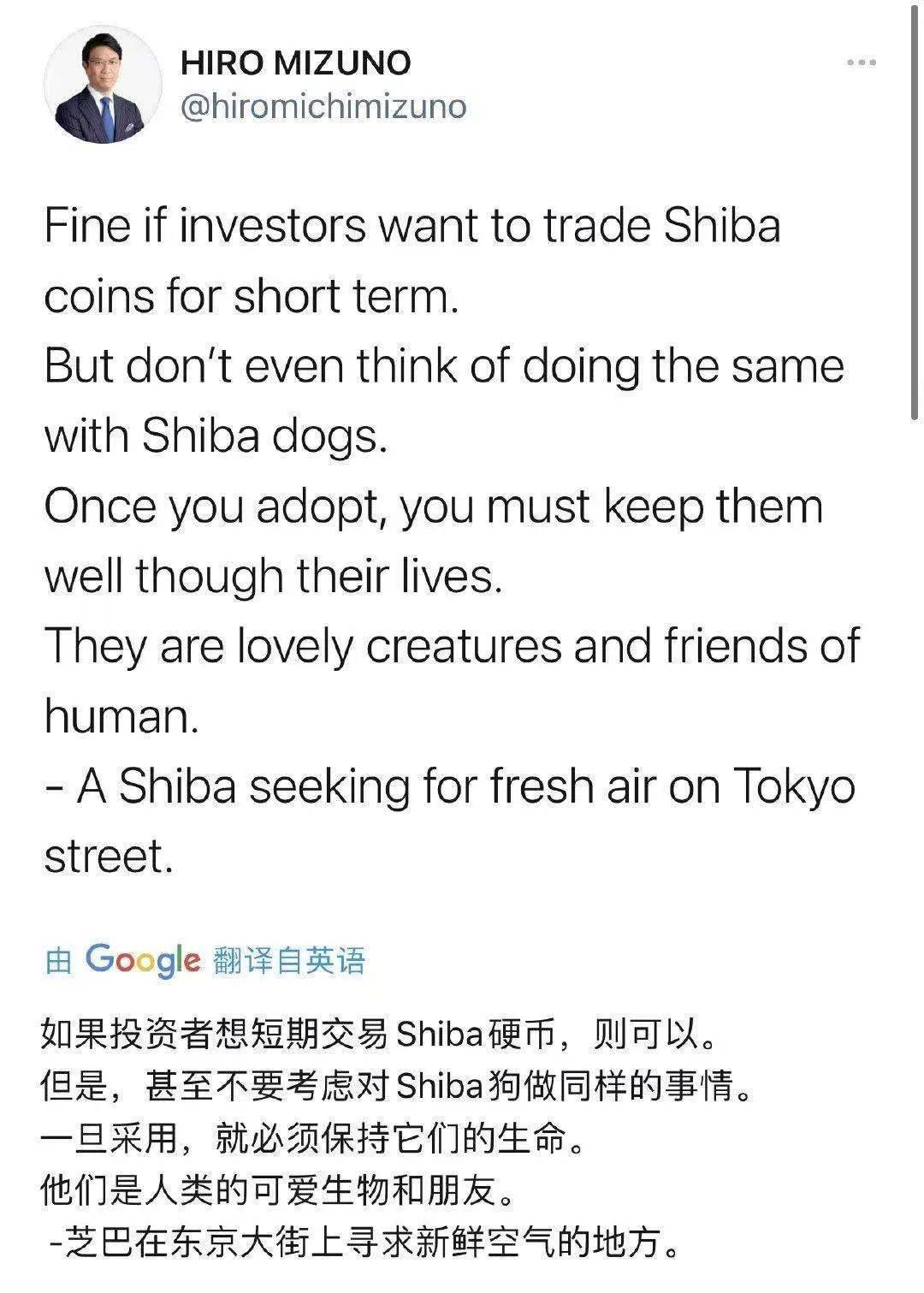 狗币之后，柴狗币又红了！一个月涨100倍，有人3000元赚了60万？ - 第1张  | 比特币-比特币价格-比特币行情交易交流平台