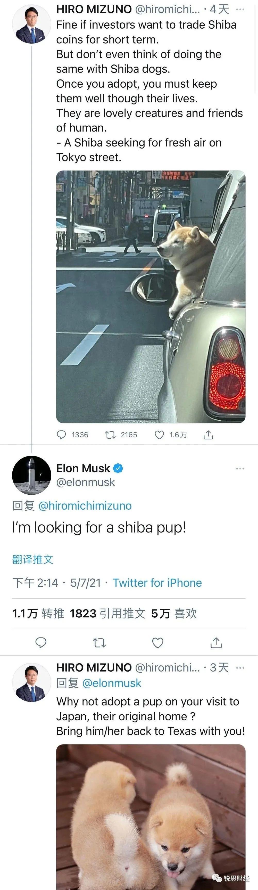 SpaceX携“狗币”登陆月球，狗屎市场一度难以止步 - 第2张  | 比特币-比特币价格-比特币行情交易交流平台