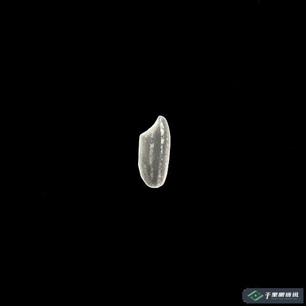 基于隐体素的虚拟世界漫游者 - 第12张  | 比特币-比特币价格-比特币行情交易交流平台