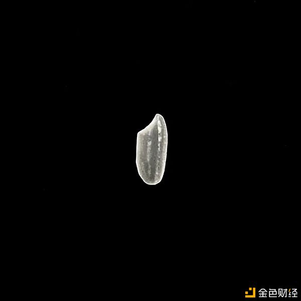 CryptoVoxels上的虚拟世界漫游者 - 第12张  | 比特币-比特币价格-比特币行情交易交流平台