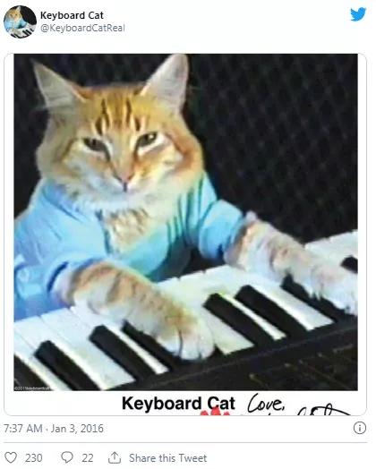 总有一个模因可以定义你的“NFT生活” - 第6张  | 比特币-比特币价格-比特币行情交易交流平台