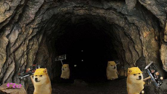 狗币的兴起：四年2100次？幼犬生活五大亮点 - 第6张  | 比特币-比特币价格-比特币行情交易交流平台