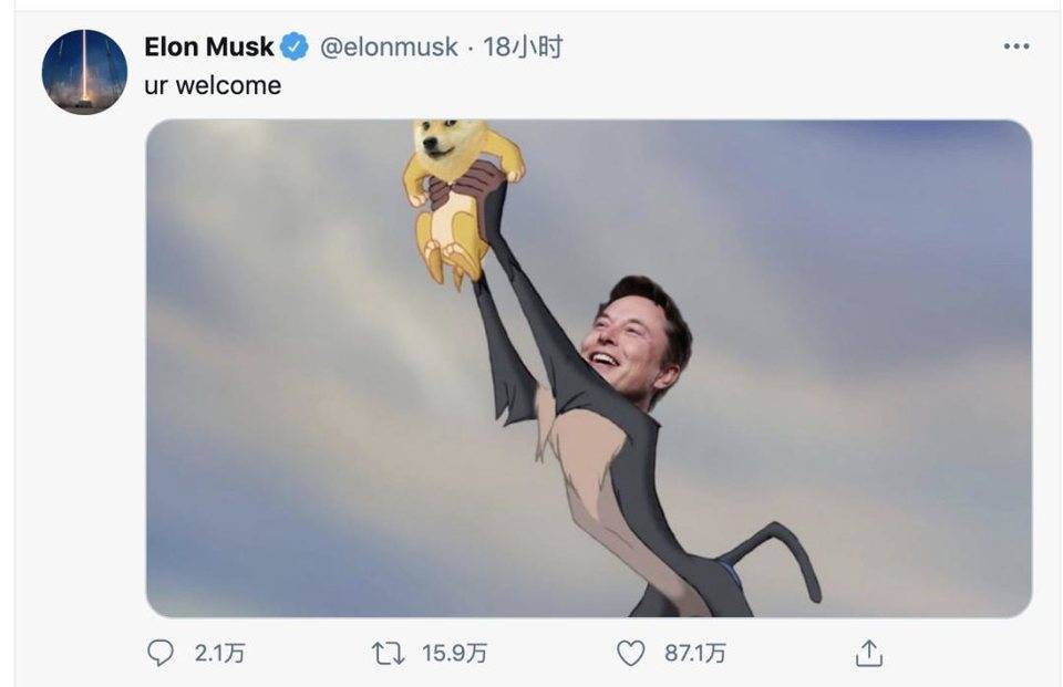 狗币的兴起：四年2100次？幼犬生活五大亮点 - 第8张  | 比特币-比特币价格-比特币行情交易交流平台