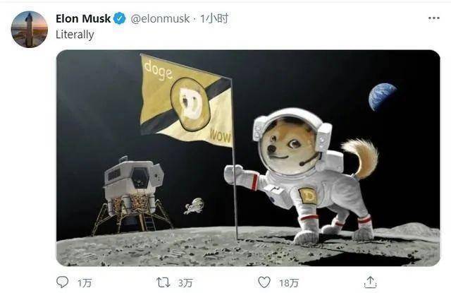 狗币的兴起：四年2100次？幼犬生活五大亮点 - 第9张  | 比特币-比特币价格-比特币行情交易交流平台