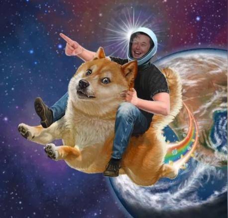 狗币的兴起：四年2100次？幼犬生活五大亮点 - 第10张  | 比特币-比特币价格-比特币行情交易交流平台