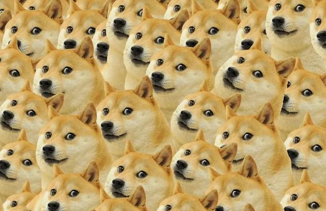 狗币收获无数财富，但你不知道它是什么 - 第3张  | 比特币-比特币价格-比特币行情交易交流平台