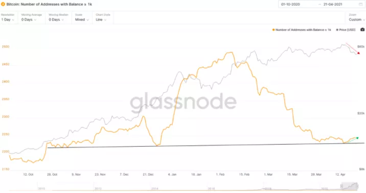 熊市警告！市场指标显示，比特币牛市可能已经见顶 - 第2张  | 比特币-比特币价格-比特币行情交易交流平台