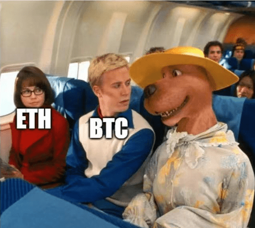 币圈院士：4.23ETH再破新高，BTC占比下降，LTC涨势强烈，热搜榜一DOGE，DOT和FIL还在横盘修复，行情分析及建议 - 第1张  | 比特币-比特币价格-比特币行情交易交流平台