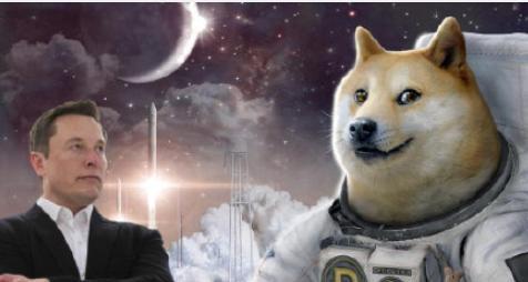 养狗的钱飙升了60%以上，今年增长了10倍多 - 第1张  | 比特币-比特币价格-比特币行情交易交流平台