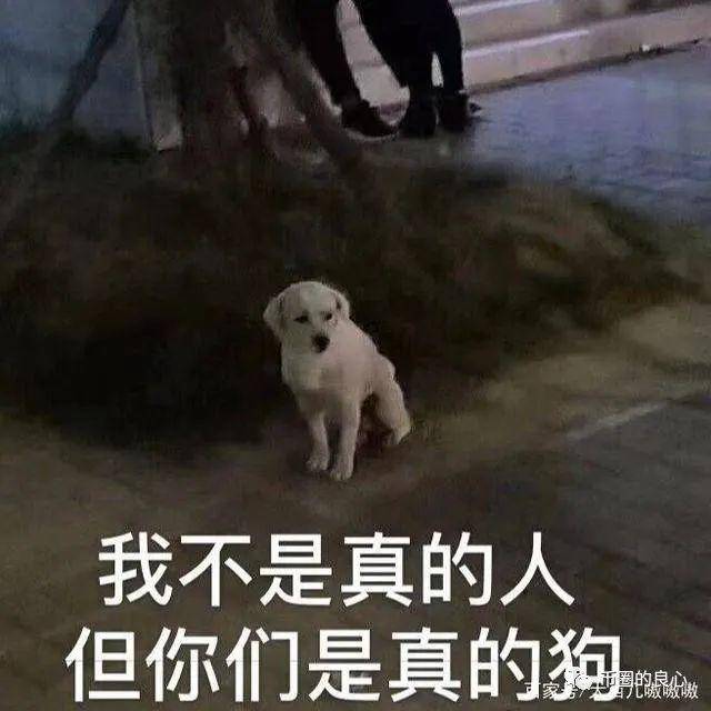 徐刚艾迪都不在国内，优贝迪崩了你去找谁？ - 第2张  | 比特币-比特币价格-比特币行情交易交流平台