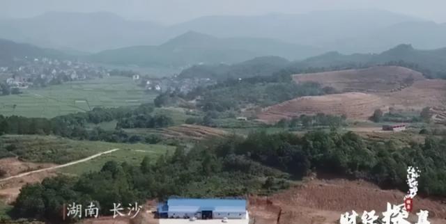 币圈大佬覆灭记：存虚拟币赚高收益，互联网+传销、一年收割400亿 - 第3张  | 比特币-比特币价格-比特币行情交易交流平台