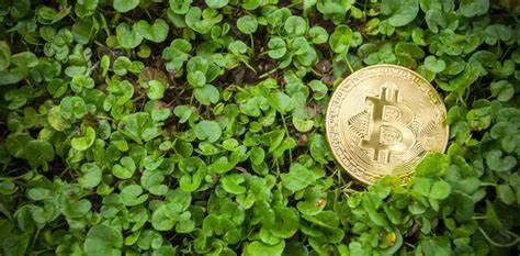 《自然》报道称，到2024年，中国比特币开采的碳排放量将达到1.3050亿吨 - 第1张  | 比特币-比特币价格-比特币行情交易交流平台